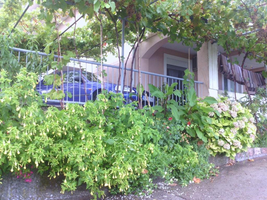 Apartments Mitrovic Podlicak Sveti Stefan Exterior photo
